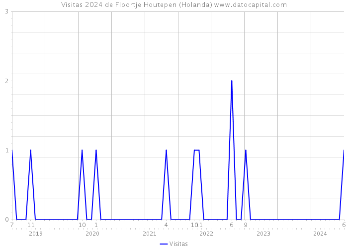 Visitas 2024 de Floortje Houtepen (Holanda) 