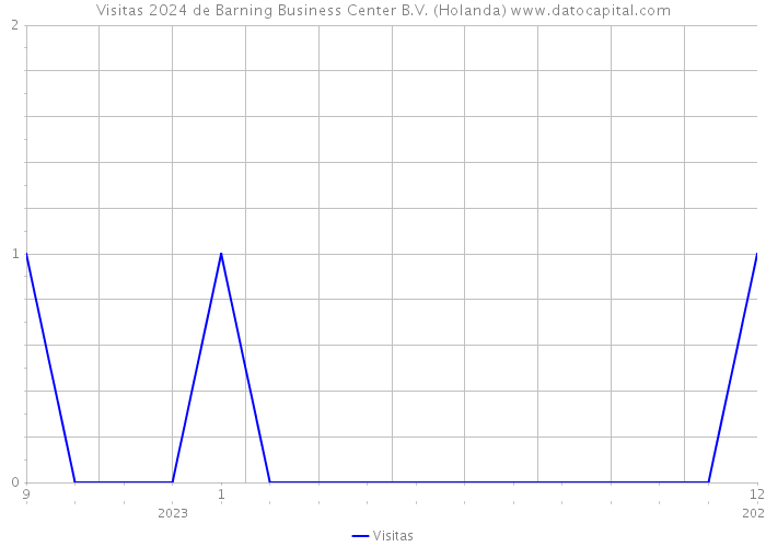 Visitas 2024 de Barning Business Center B.V. (Holanda) 