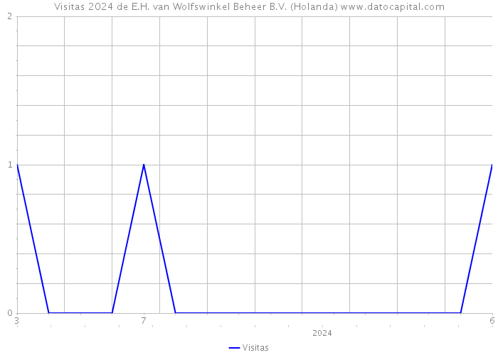 Visitas 2024 de E.H. van Wolfswinkel Beheer B.V. (Holanda) 