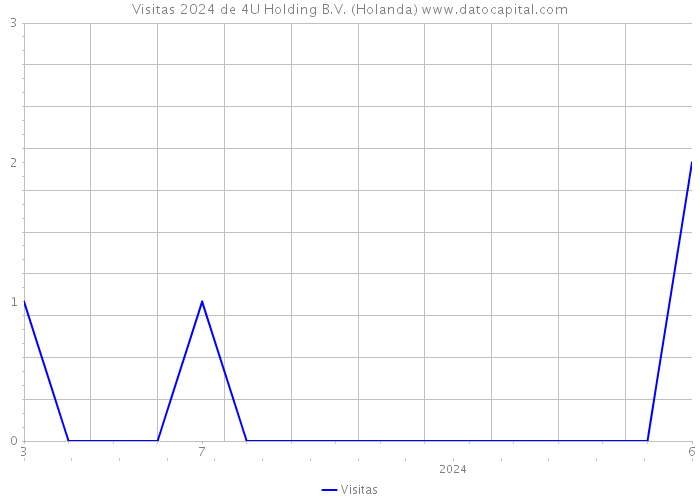 Visitas 2024 de 4U Holding B.V. (Holanda) 