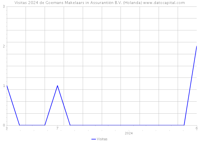 Visitas 2024 de Goemans Makelaars in Assurantiën B.V. (Holanda) 