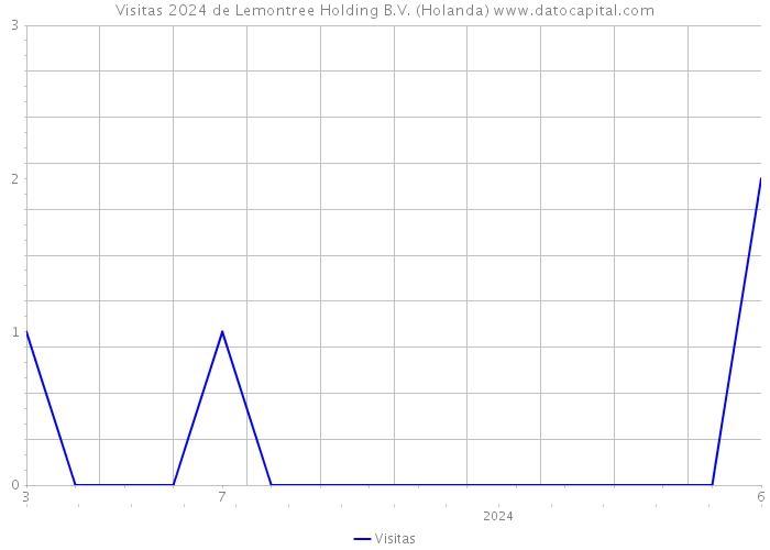 Visitas 2024 de Lemontree Holding B.V. (Holanda) 