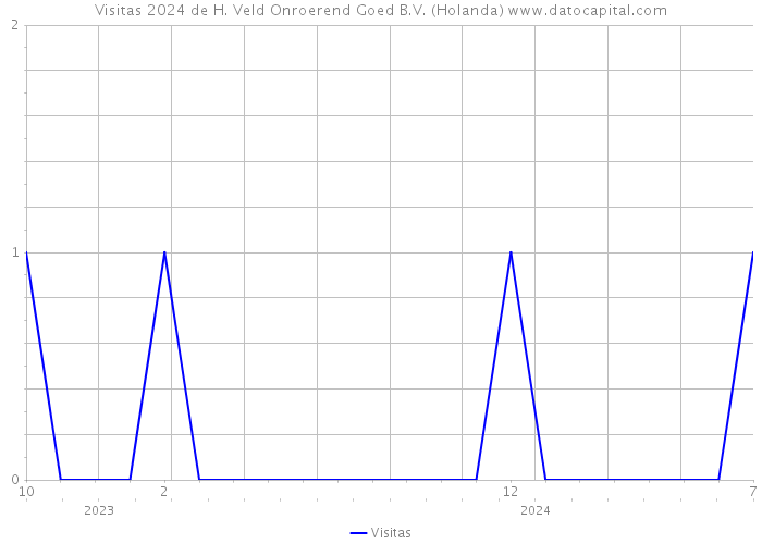 Visitas 2024 de H. Veld Onroerend Goed B.V. (Holanda) 