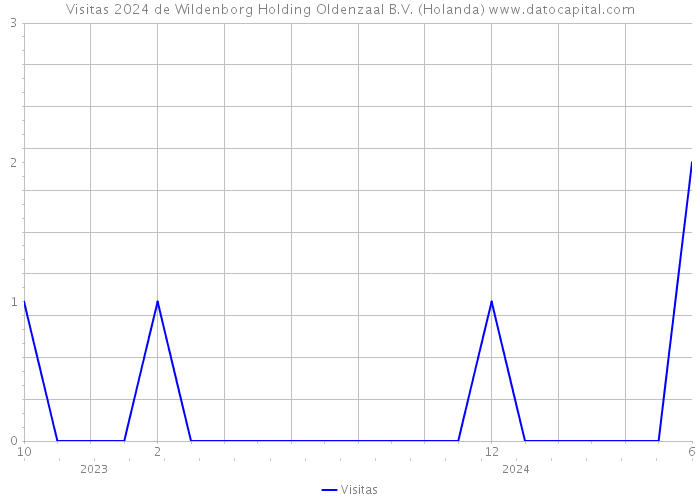 Visitas 2024 de Wildenborg Holding Oldenzaal B.V. (Holanda) 