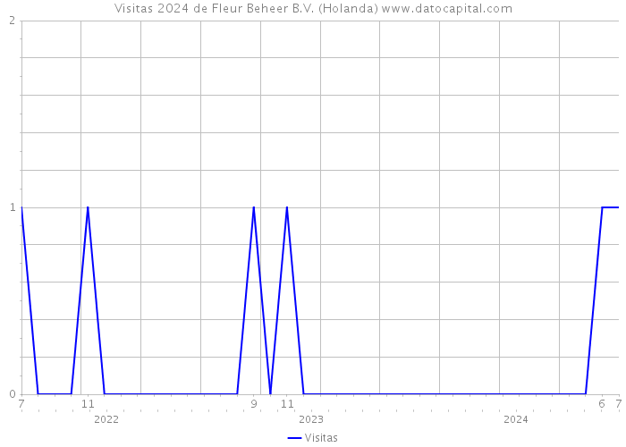 Visitas 2024 de Fleur Beheer B.V. (Holanda) 