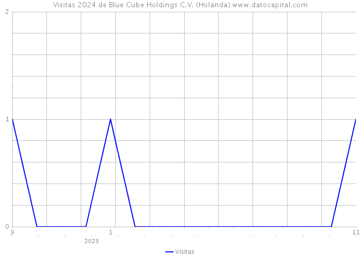 Visitas 2024 de Blue Cube Holdings C.V. (Holanda) 