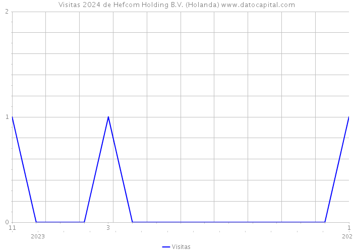 Visitas 2024 de Hefcom Holding B.V. (Holanda) 