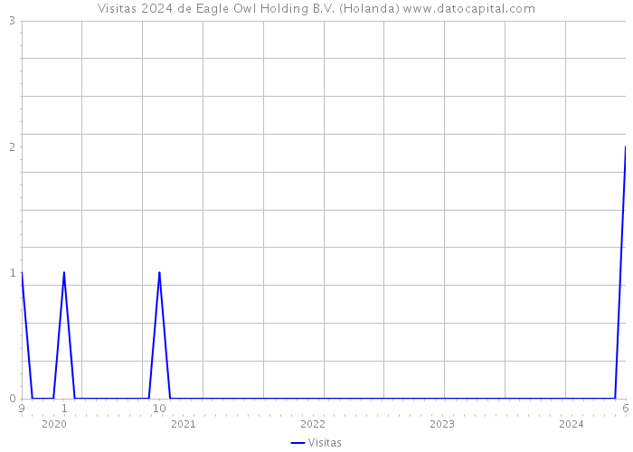 Visitas 2024 de Eagle Owl Holding B.V. (Holanda) 