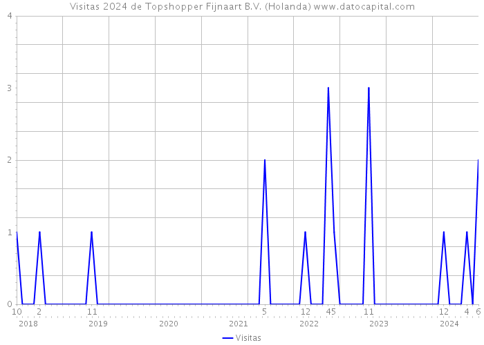 Visitas 2024 de Topshopper Fijnaart B.V. (Holanda) 