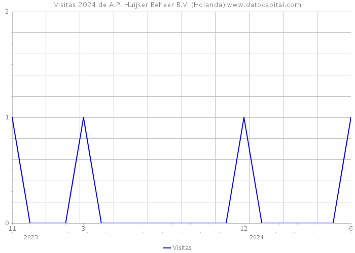 Visitas 2024 de A.P. Huijser Beheer B.V. (Holanda) 