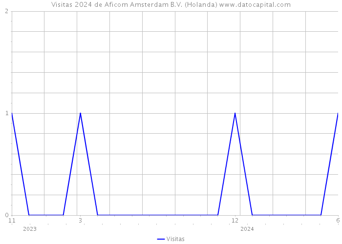 Visitas 2024 de Aficom Amsterdam B.V. (Holanda) 