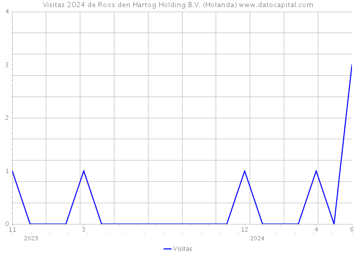 Visitas 2024 de Roos den Hartog Holding B.V. (Holanda) 