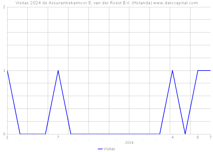 Visitas 2024 de Assurantiekantoor E. van der Roest B.V. (Holanda) 