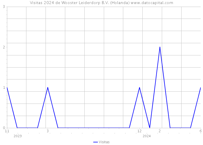 Visitas 2024 de Wooster Leiderdorp B.V. (Holanda) 