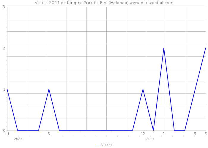 Visitas 2024 de Kingma Praktijk B.V. (Holanda) 