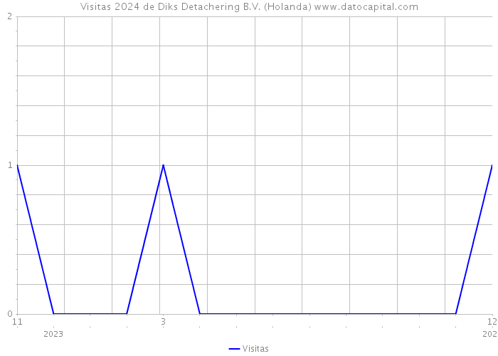 Visitas 2024 de Diks Detachering B.V. (Holanda) 