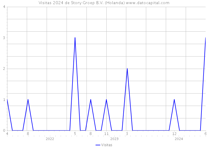 Visitas 2024 de Story Groep B.V. (Holanda) 