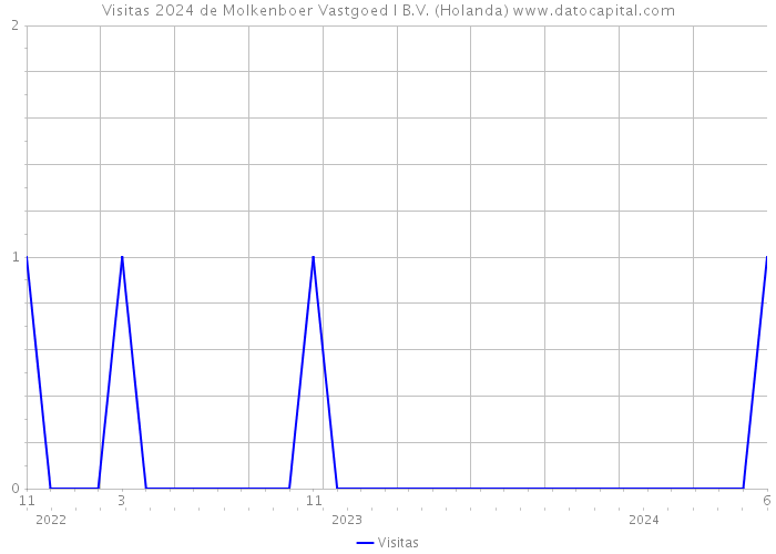 Visitas 2024 de Molkenboer Vastgoed I B.V. (Holanda) 