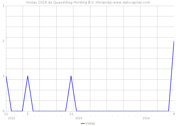 Visitas 2024 de Quaedvlieg Holding B.V. (Holanda) 