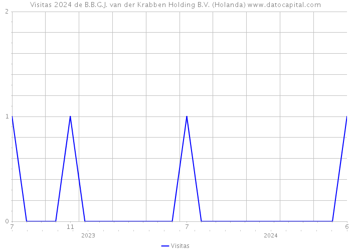 Visitas 2024 de B.B.G.J. van der Krabben Holding B.V. (Holanda) 