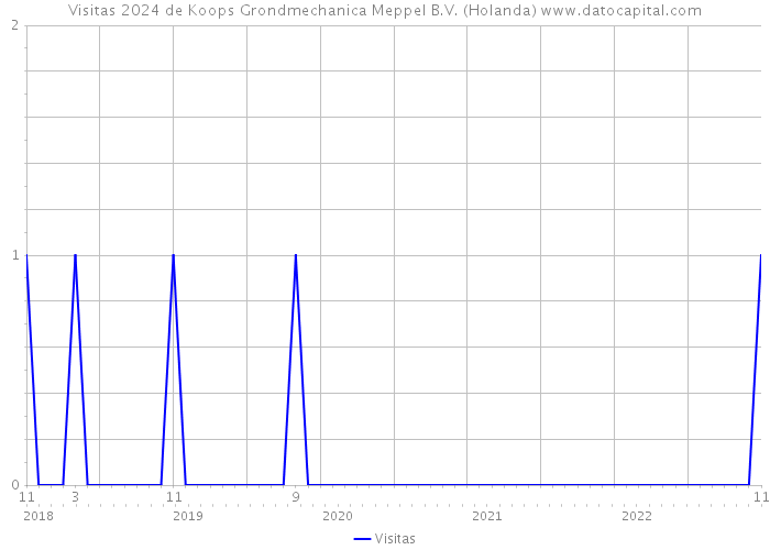 Visitas 2024 de Koops Grondmechanica Meppel B.V. (Holanda) 