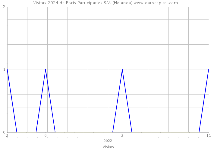 Visitas 2024 de Boris Participaties B.V. (Holanda) 