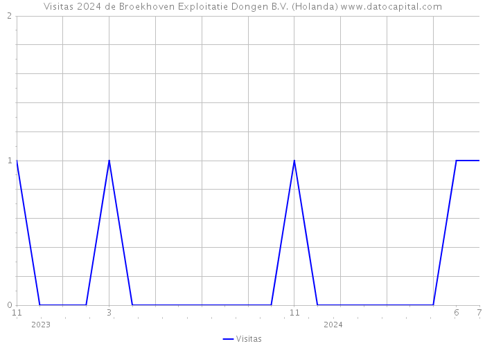 Visitas 2024 de Broekhoven Exploitatie Dongen B.V. (Holanda) 