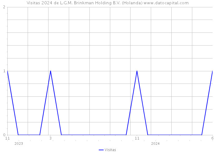 Visitas 2024 de L.G.M. Brinkman Holding B.V. (Holanda) 