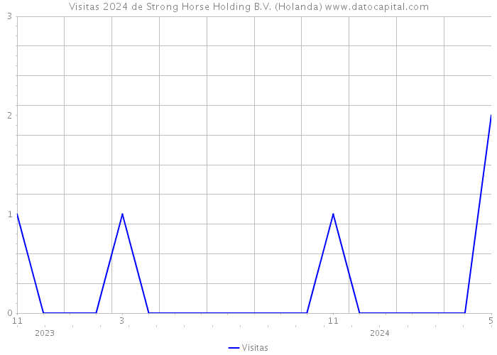 Visitas 2024 de Strong Horse Holding B.V. (Holanda) 