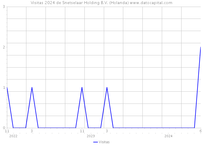 Visitas 2024 de Snetselaar Holding B.V. (Holanda) 