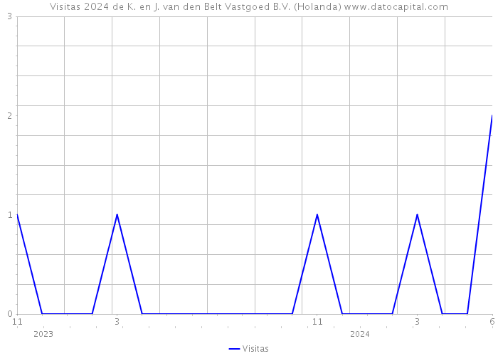 Visitas 2024 de K. en J. van den Belt Vastgoed B.V. (Holanda) 