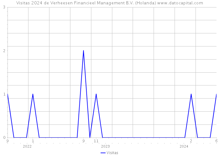 Visitas 2024 de Verheesen Financieel Management B.V. (Holanda) 