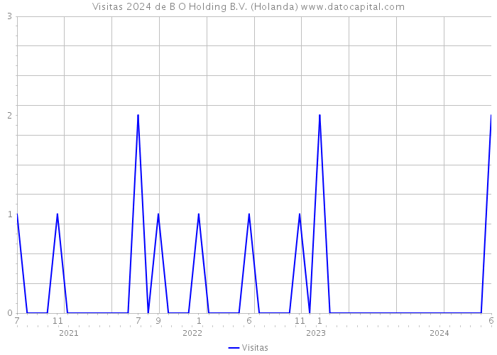 Visitas 2024 de B O Holding B.V. (Holanda) 