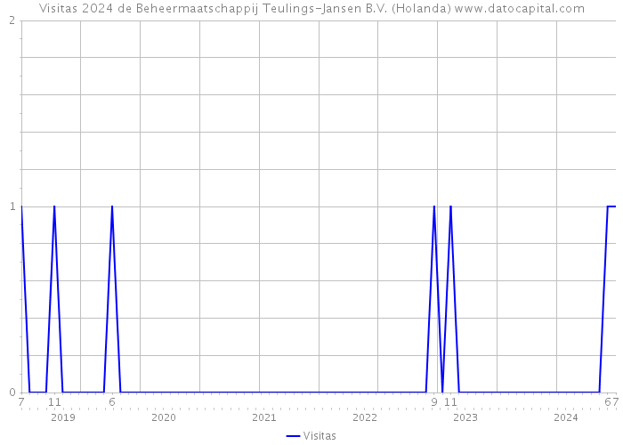 Visitas 2024 de Beheermaatschappij Teulings-Jansen B.V. (Holanda) 