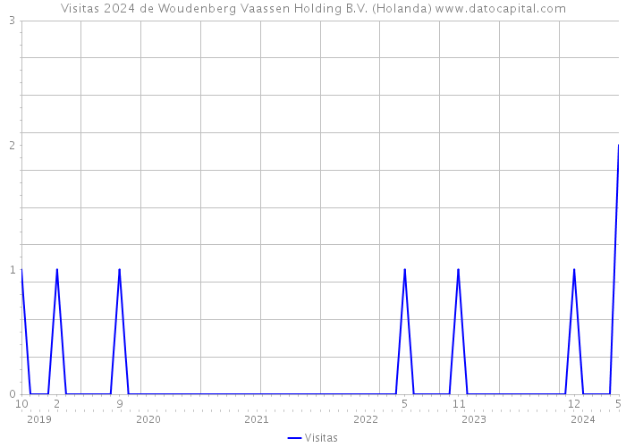 Visitas 2024 de Woudenberg Vaassen Holding B.V. (Holanda) 