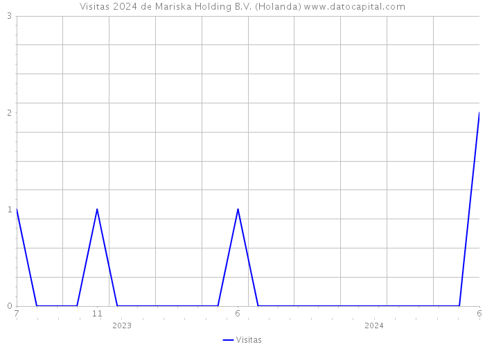 Visitas 2024 de Mariska Holding B.V. (Holanda) 