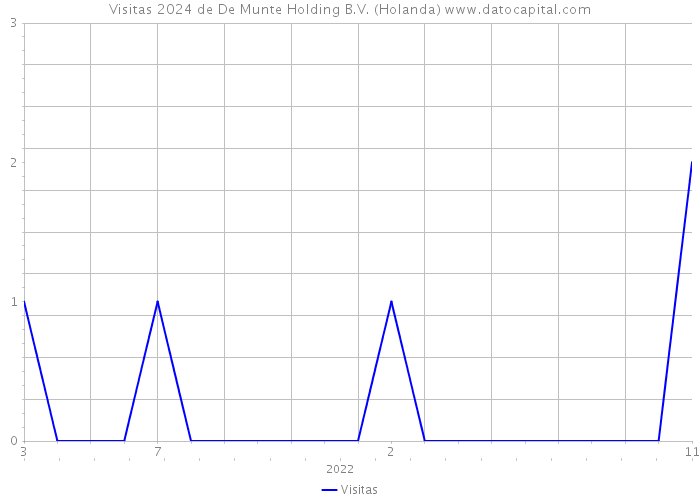 Visitas 2024 de De Munte Holding B.V. (Holanda) 