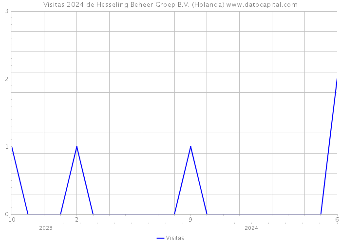 Visitas 2024 de Hesseling Beheer Groep B.V. (Holanda) 