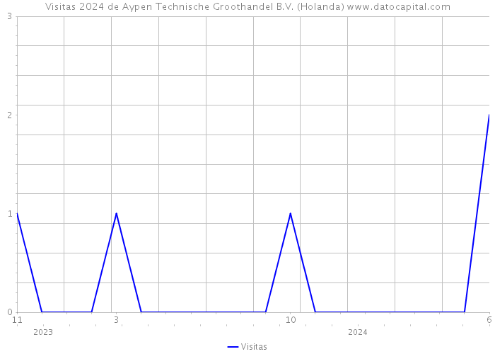 Visitas 2024 de Aypen Technische Groothandel B.V. (Holanda) 