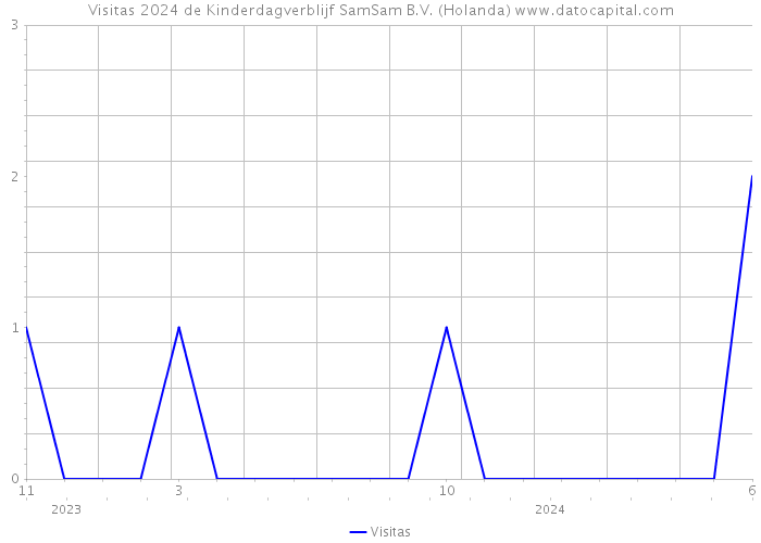 Visitas 2024 de Kinderdagverblijf SamSam B.V. (Holanda) 