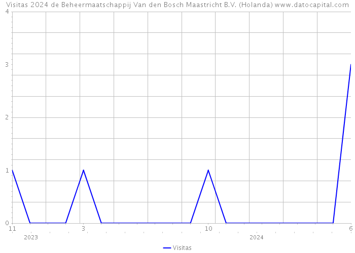 Visitas 2024 de Beheermaatschappij Van den Bosch Maastricht B.V. (Holanda) 