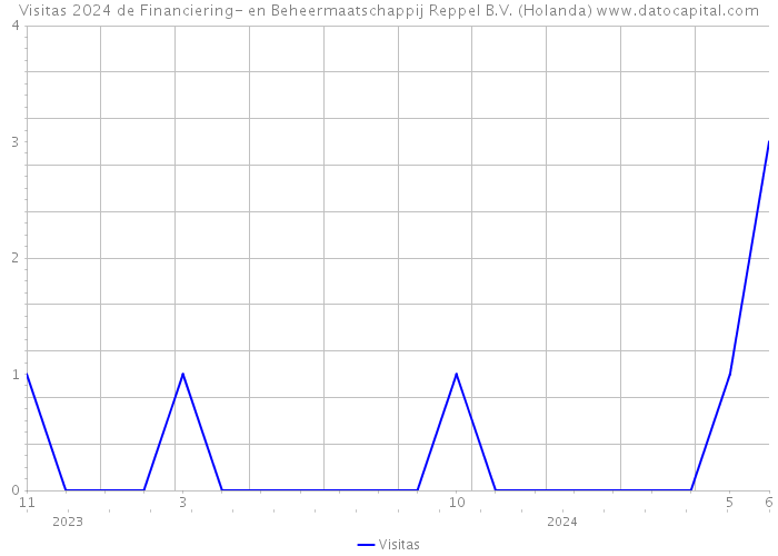 Visitas 2024 de Financiering- en Beheermaatschappij Reppel B.V. (Holanda) 