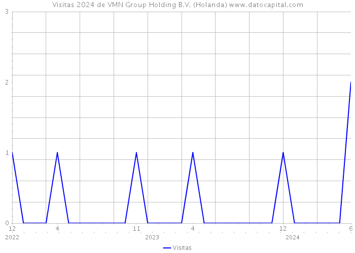 Visitas 2024 de VMN Group Holding B.V. (Holanda) 
