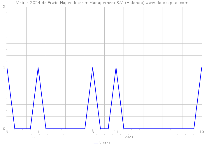 Visitas 2024 de Erwin Hagen Interim Management B.V. (Holanda) 