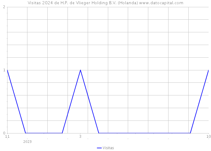 Visitas 2024 de H.P. de Vlieger Holding B.V. (Holanda) 