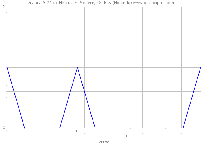 Visitas 2024 de Hercuton Property XXI B.V. (Holanda) 