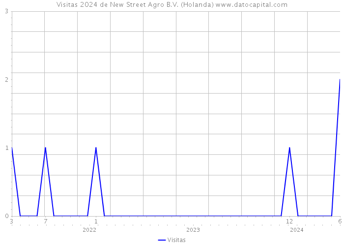 Visitas 2024 de New Street Agro B.V. (Holanda) 