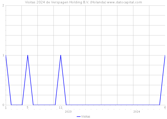Visitas 2024 de Verspagen Holding B.V. (Holanda) 