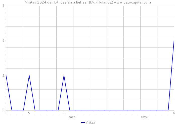 Visitas 2024 de H.A. Baarsma Beheer B.V. (Holanda) 