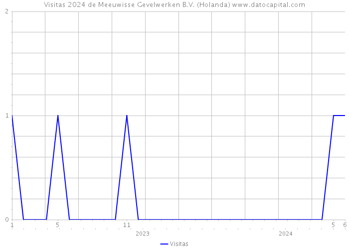 Visitas 2024 de Meeuwisse Gevelwerken B.V. (Holanda) 